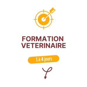 Formation Vétérinaire