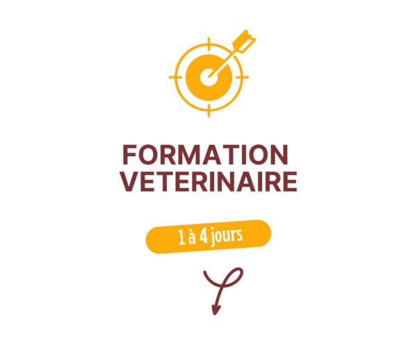 Formation Vétérinaire